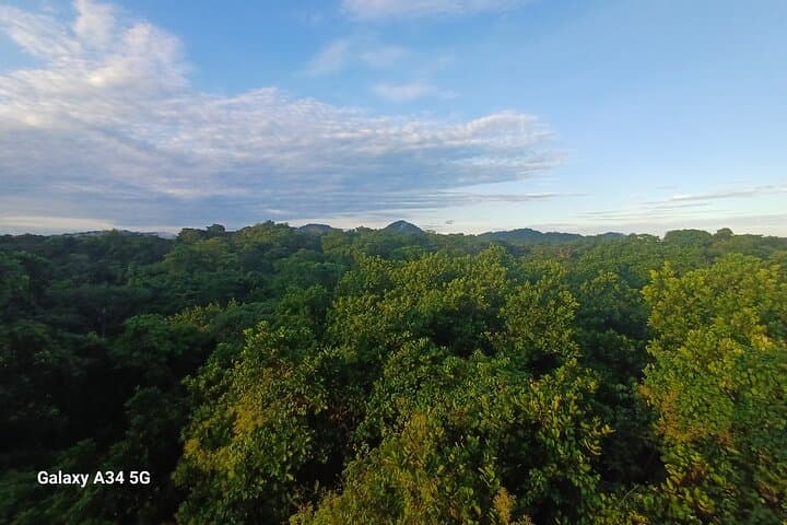 Birdwatching at Rainforest Discovery Center: Gamboa Guided Tour from Panama City photo 5