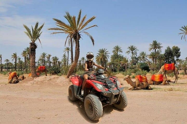 Quad Biking and Camel Ride in Marrakech’s Palmeraie: 2-Hour Oasis Adventure