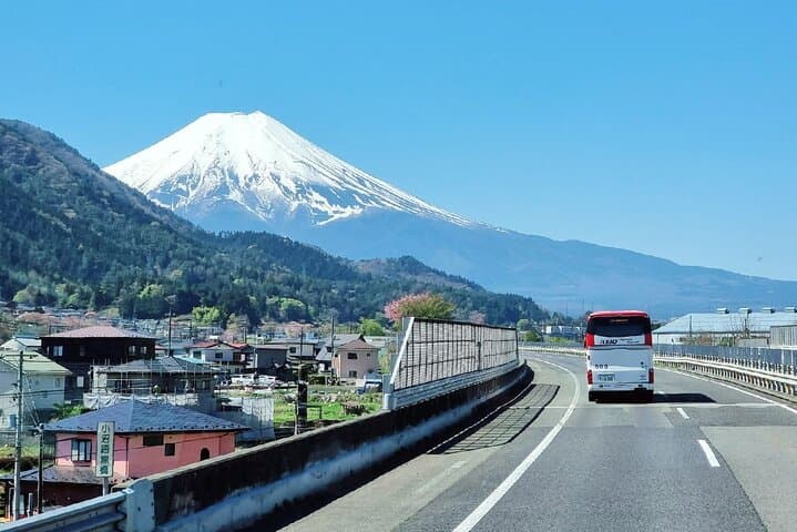 Mt Fuji and Hakone Day Trip from Tokyo — 5th Station, Owakudani Ropeway & Lake Ashi Cruise photo 2