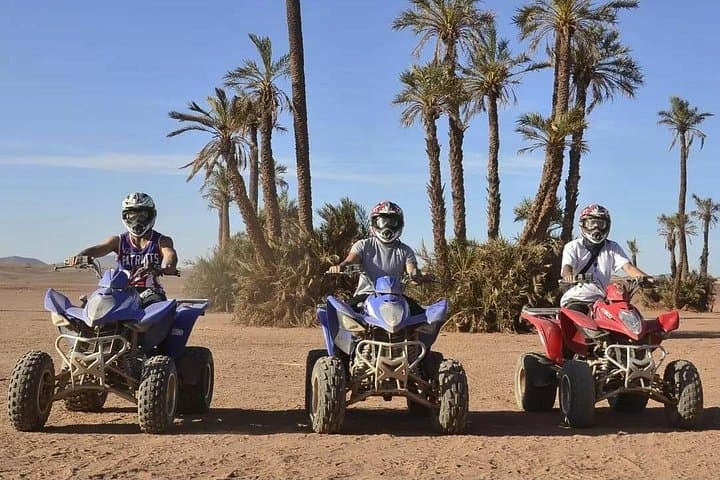 Quad Biking and Camel Ride in Marrakech’s Palmeraie: 2-Hour Oasis Adventure photo 3