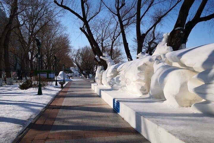 1-Day Harbin Private Tour: Saint Sophia, Sun Island & Songhua River photo 5