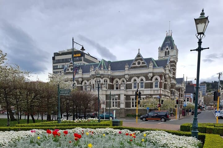 Private Dunedin & Otago Peninsula Tour — Albatross, Larnach Castle and Coastal Lookouts