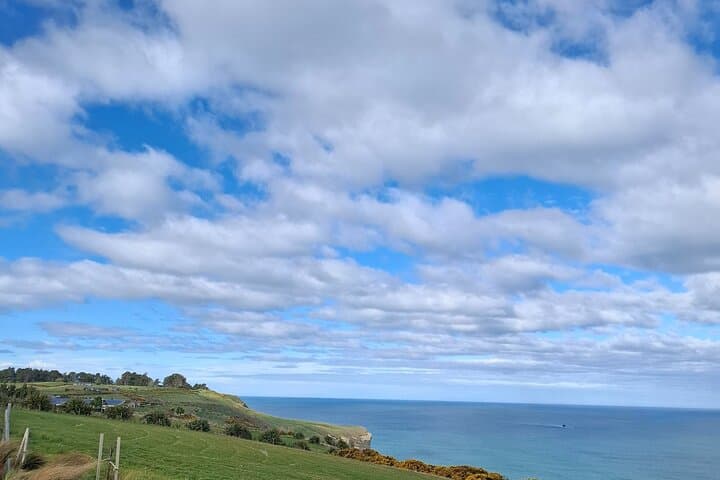 Private Dunedin & Otago Peninsula Tour — Albatross, Larnach Castle and Coastal Lookouts photo 2