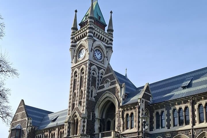 Private Dunedin & Otago Peninsula Tour — Albatross, Larnach Castle and Coastal Lookouts photo 3