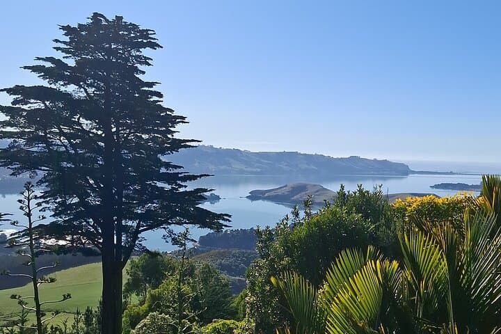 Private Dunedin & Otago Peninsula Tour — Albatross, Larnach Castle and Coastal Lookouts photo 5