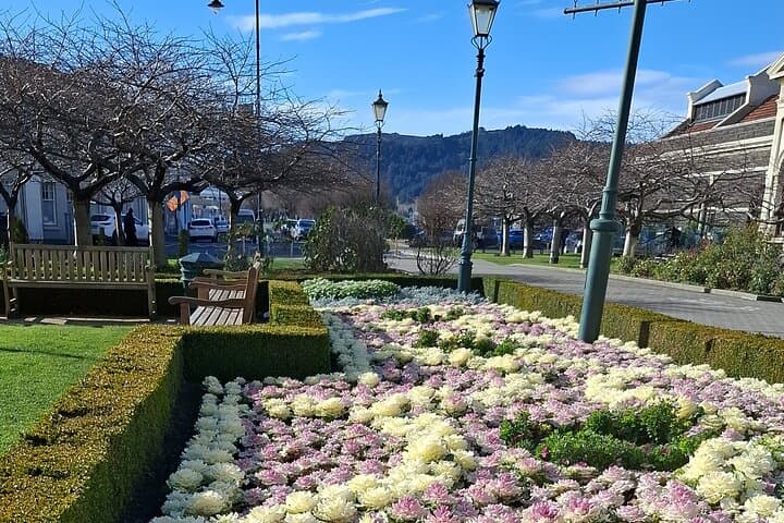 Private Dunedin & Otago Peninsula Tour — Albatross, Larnach Castle and Coastal Lookouts photo 6