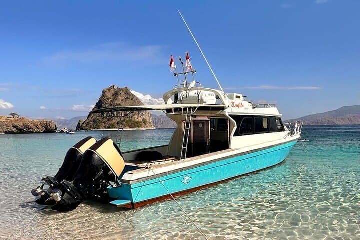 Early Bird Komodo Speedboat Tour — Padar, Pink Beach, Komodo & Manta Snorkel photo 5