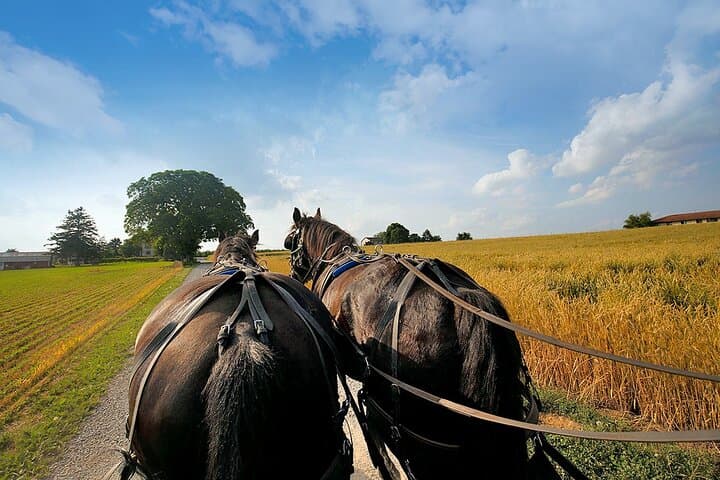 Day Trip to Philadelphia and Amish Country from New York City — Liberty Bell & Amish Buggy Ride photo 4