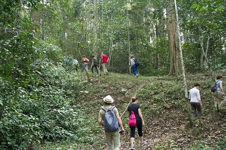 Private One Week Kerala Tour: Munnar Tea Gardens, Periyar Wildlife & Alleppey Backwaters photo 4