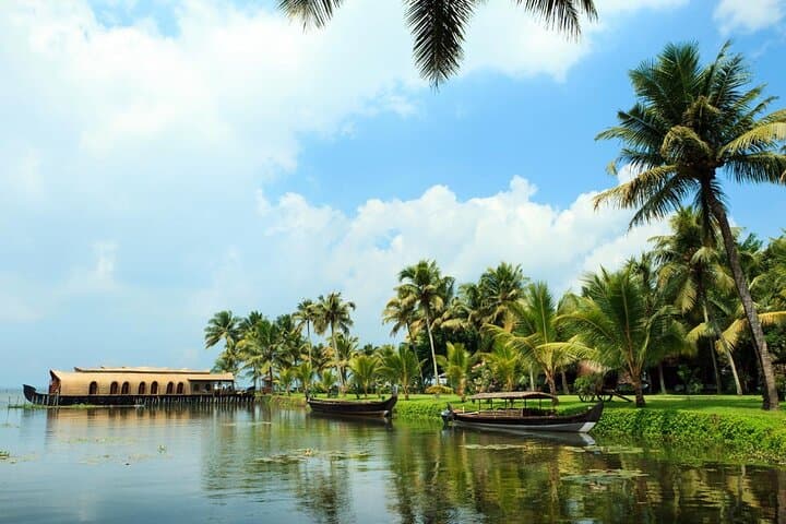 Private One Week Kerala Tour: Munnar Tea Gardens, Periyar Wildlife & Alleppey Backwaters photo 6