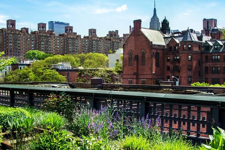 Two-Hour High Line, Hudson River & Chelsea Walking Tour — NYC Highlights photo 4