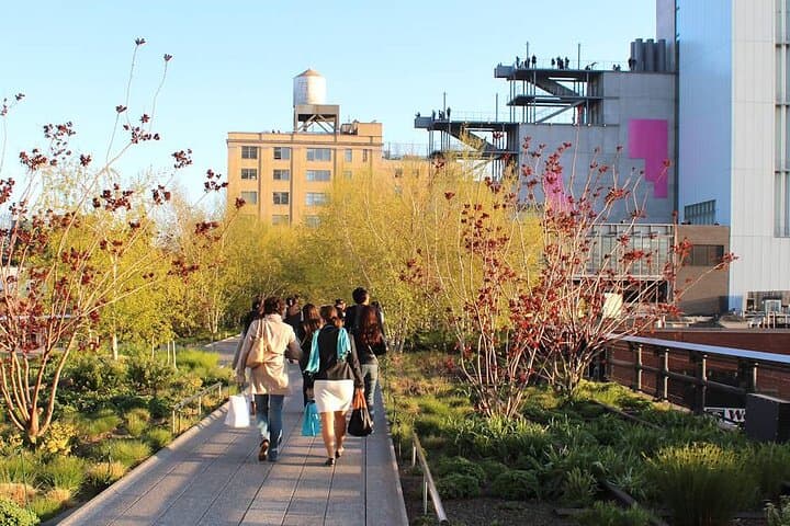 Two-Hour High Line, Hudson River & Chelsea Walking Tour — NYC Highlights photo 6