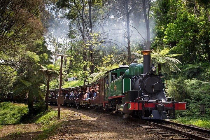 Puffing Billy Steam Train and Phillip Island Penguin Parade Day Tour from Melbourne photo 1