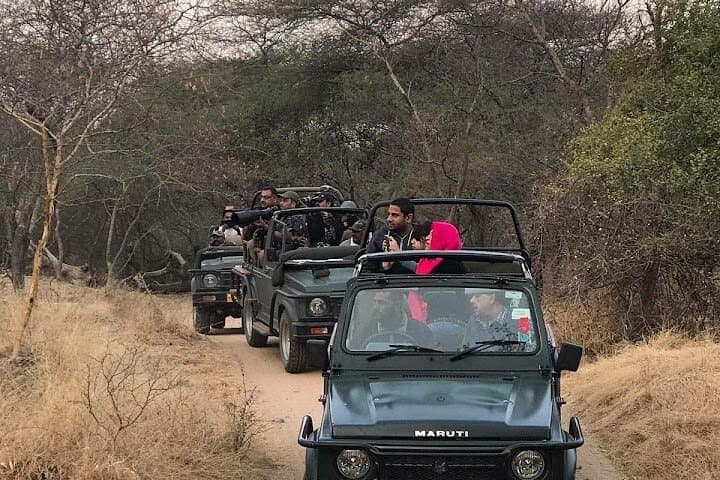 Jhalana Leopard Reserve: Private Jeep Safari in Jaipur photo 5