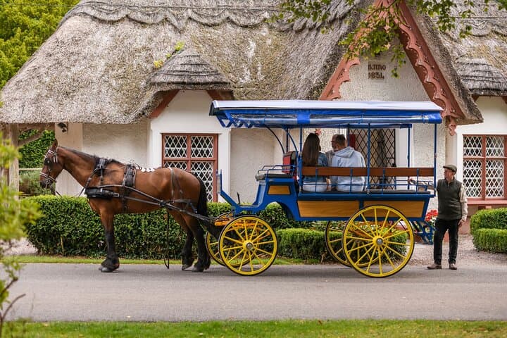 Private Killarney Jaunting Car Tour & Afternoon Tea — Ross Castle and National Park Ride photo 5