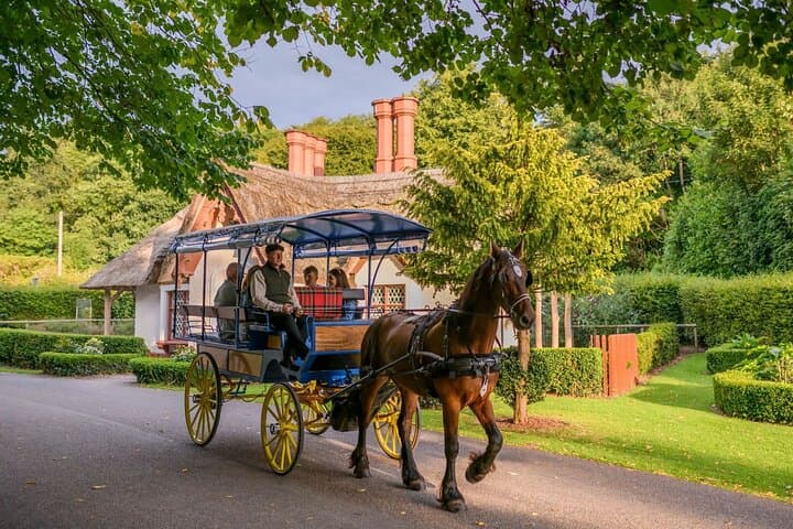 Private Killarney Jaunting Car Tour & Afternoon Tea — Ross Castle and National Park Ride photo 4