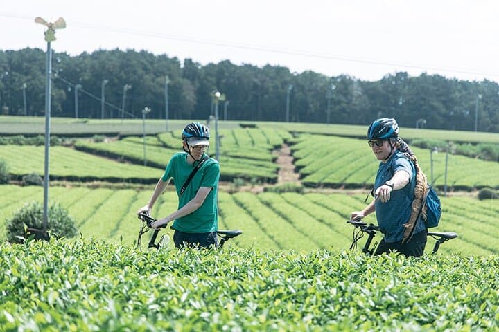 3-Day Shochu & Kuma River Journey: Hitoyoshi E-Bike, Brewery, Castle Ruins photo 3