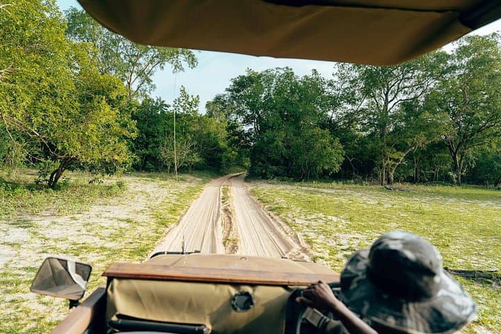 Full-Day Pilanesberg Safari from Sun City: Open-Vehicle Big Five Game Drive