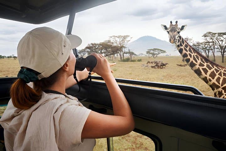 Full-Day Pilanesberg Safari from Sun City: Open-Vehicle Big Five Game Drive photo 3