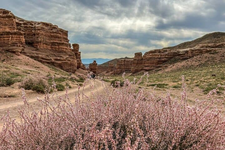 Kolsai & Kaindy Lakes and Charyn Canyon — Full-Day Small-Group Tour from Almaty photo 3