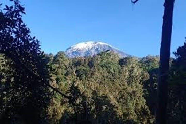 Sneak-Peek Kilimanjaro Day Hike: Marangu Gate to Mandara Hut