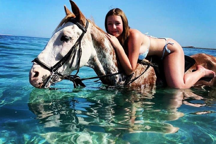Hurghada Horse Riding: 3-Hour Beach, Desert & Red Sea Horse Swim Experience photo 4
