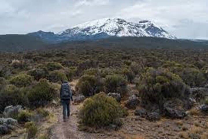 Sneak-Peek Kilimanjaro Day Hike: Marangu Gate to Mandara Hut photo 5