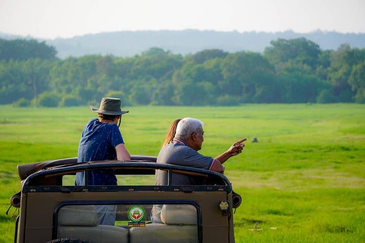 Minneriya National Park Safari — Elephant Herds, Birdlife & Habarana Pickups photo 3