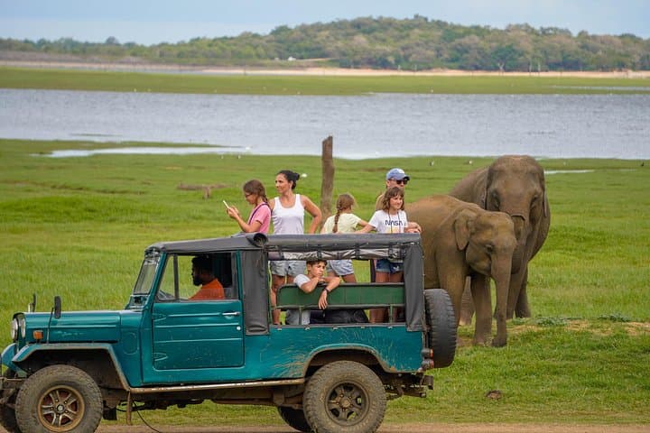 Minneriya National Park Safari — Elephant Herds, Birdlife & Habarana Pickups photo 2