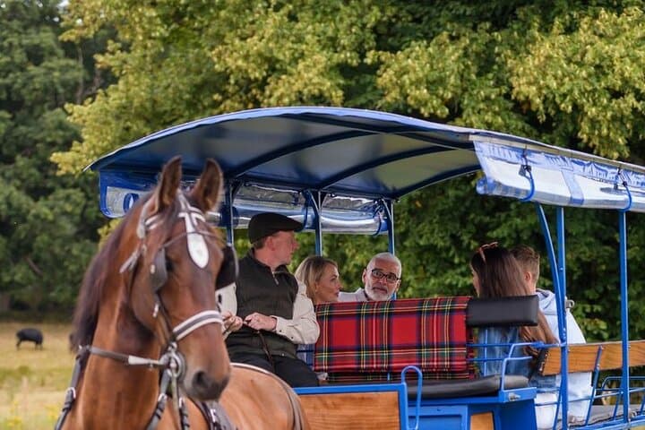Whiskey & Wonders in Killarney: Exploring Ireland’s National Park by Jaunting Car photo 6
