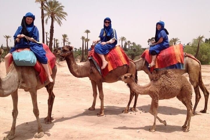 Palmeraie Camel Trek: Traditional Camel Ride Through Marrakech's Palm Oasis
