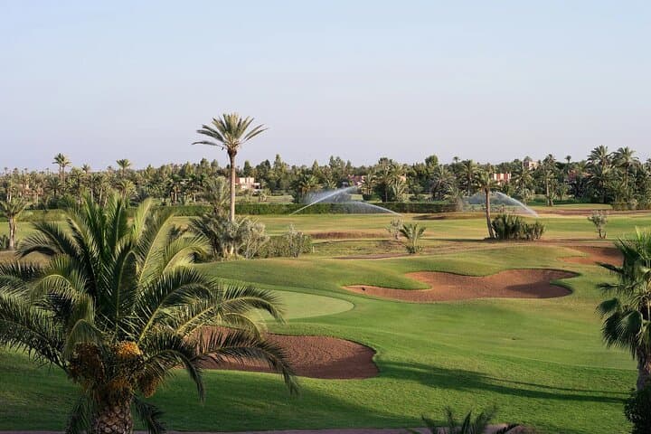 Palmeraie Camel Trek: Traditional Camel Ride Through Marrakech's Palm Oasis photo 2