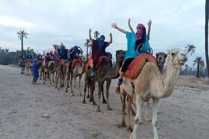 Palmeraie Camel Trek: Traditional Camel Ride Through Marrakech's Palm Oasis photo 6