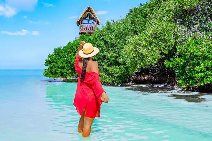 Holbox Island Day Trip from Riviera Maya — Yalahau Cenote, Passion Island & Punta Mosquito photo 1