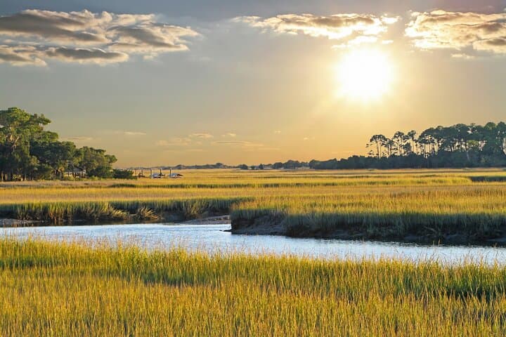 Hilton Head Private Dolphin & Nature Tour — 90-Min Broad Creek Cruise photo 6