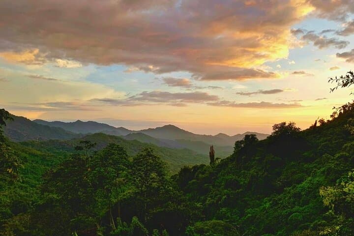 Birdwatching in Minca: Guided Birding Tour in the Sierra Nevada de Santa Marta photo 2