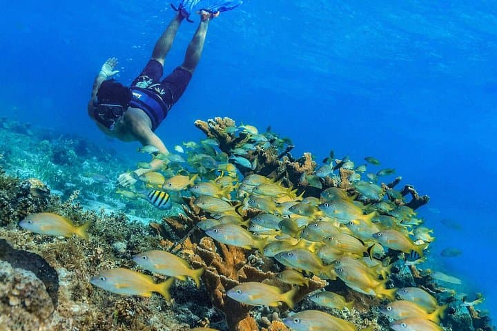 Private Yacht Cruise in Cancun: 4-Hour El Meco Snorkel, Lunch & Open Bar photo 2