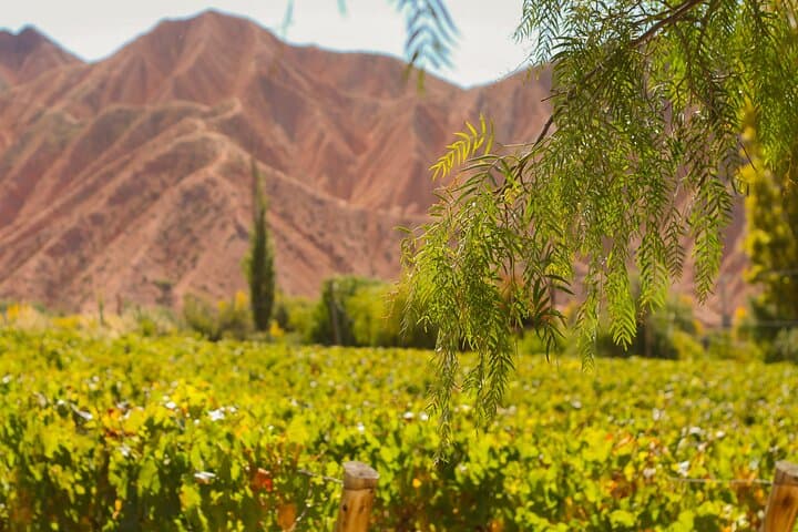 Jujuy Wine Route — Quebrada de Humahuaca Wineries & Seven Colors Tour photo 6
