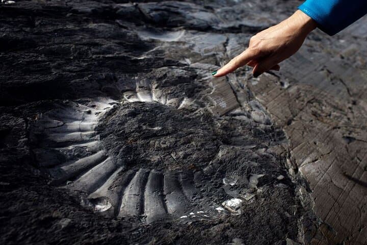 Estancia Cristina Fossil Canyon Trek — Upsala Glacier Viewpoint Day Trip photo 4
