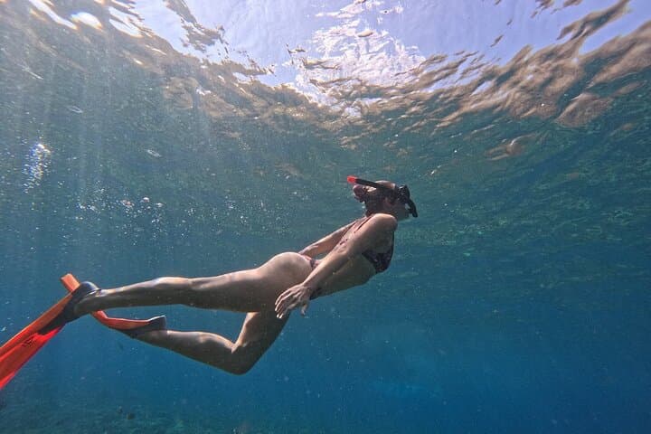 Discover the Underwater Wonders of Bali's Blue Lagoon photo 6