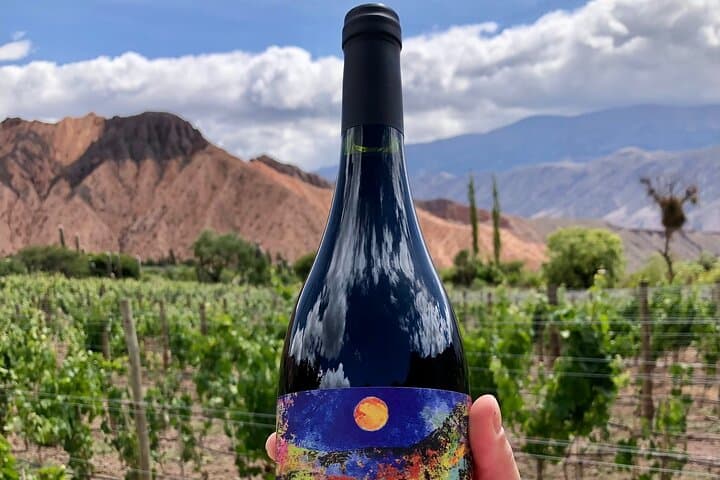 Jujuy Wine Route — Quebrada de Humahuaca Wineries & Seven Colors Tour photo 3