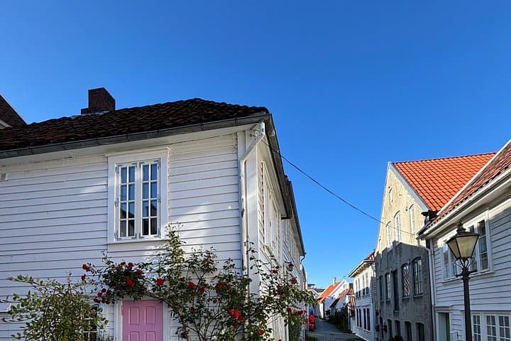 Private Stavanger Guided City Tour — Explore Vikings, Wooden Houses & Harbor Life