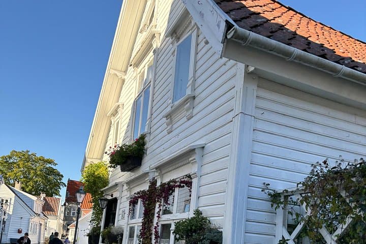 Private Stavanger Guided City Tour — Explore Vikings, Wooden Houses & Harbor Life photo 2