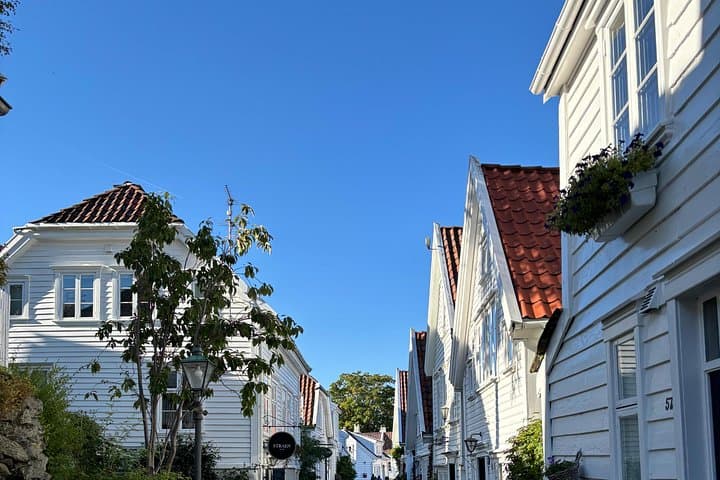 Private Stavanger Guided City Tour — Explore Vikings, Wooden Houses & Harbor Life photo 3