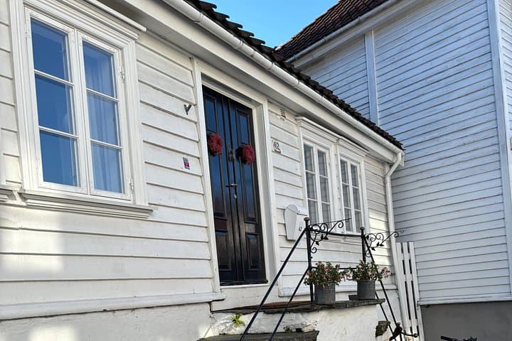 Private Stavanger Guided City Tour — Explore Vikings, Wooden Houses & Harbor Life photo 4