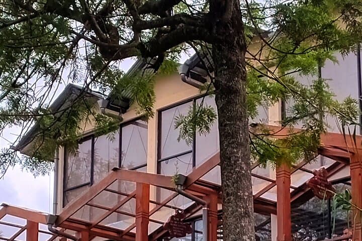 Nuwara Eliya Tuk‑Tuk Tour: Waterfalls, Tea Plantations & Mountain Views photo 2