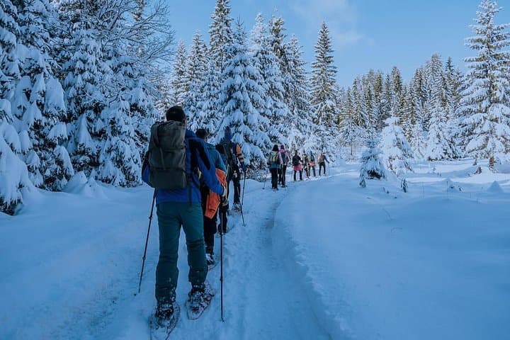 Snowshoeing Durmitor: Black Lake & Zminje Lake Winter Trek photo 2