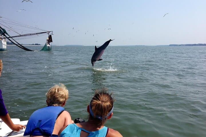 Hilton Head 90‑Minute Dolphin and Nature Cruise on Broad Creek photo 2