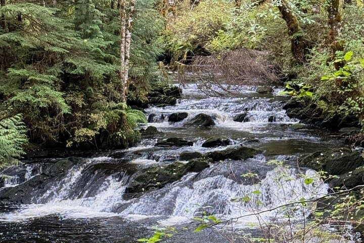 Exploring Tongass National Forest: The Lunch Creek Trail Hike from Ketchikan