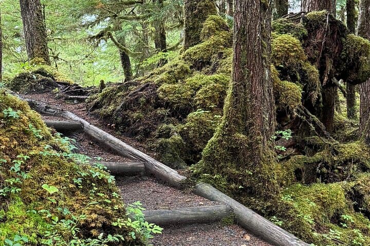 Exploring Tongass National Forest: The Lunch Creek Trail Hike from Ketchikan photo 6